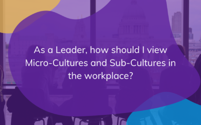 As a Leader, how should I view Micro-Cultures and Sub-Cultures in the workplace?